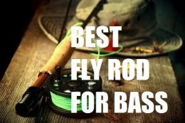 BEST FLY ROD FOR BASS FISHING